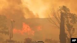 Incêndios florestais na Turquia