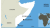 US Targets Al-Shabab in Somalia Airstrike, Killing 2 