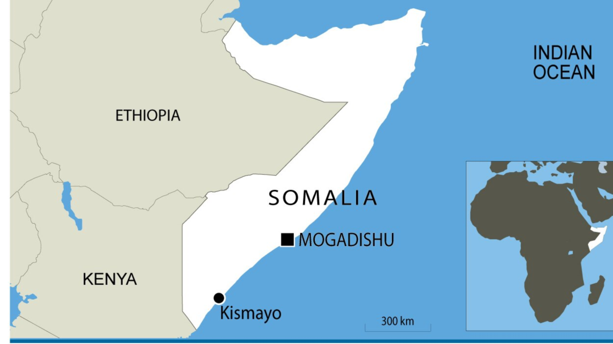 US Targets Al-Shabab in Somalia Airstrike, Killing 2 - Vimarsana News
