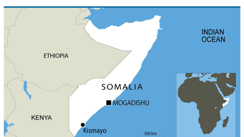 Ejército de EE. UU. mata a alto funcionario del Estado Islámico en Somalia