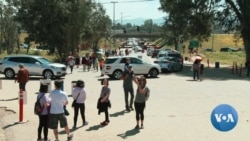 Popularity of California Poppy Fields Leads to Traffic Nightmare