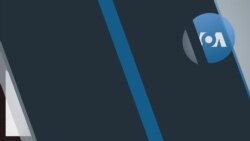 What Is a Kangaroo Court?