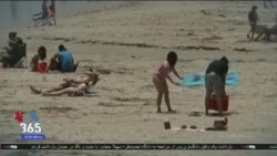 اخبار شامگاهی