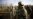 Ukraine to Deploy Troops, Helicopters to Guard Belarus Border