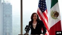 카멀라 해리스 미국 부통령이 8일 멕시코시티에서 기자회견을 했다.