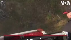 مزرعه توت خرس در ماساچوست