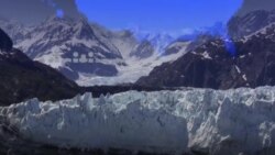 #AmerikaManzaralari - Glacier Bay