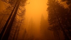 EE.UU. Incendios Parque Nacional Secuoyas