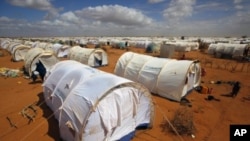 UNHCR's Ifo Extension camp outside Dadaab, eastern Kenya, 100 kilometers (62 miles) from the Somali border, August 5, 2011.