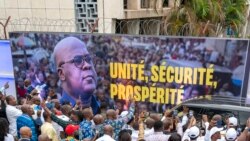 Friends of Congo Rally For Peace in Washington DC