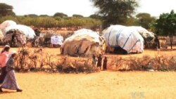 Kenya Wants Somali Refugees to Return Home, but UN Urges Caution