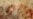 Ancient Cave Art Could Be From Neanderthals