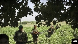 Afghan National Army soldiers patrol with United States Army soldiers from Bravo Company, in the volatile Arghandab Valley, outside Kandahar City, 10 July 2010.