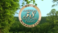 Mammoth Cave National Park