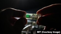 دانشمندان پیش از خوراندن این آخذه به انسان، باید اندازۀ آن را کوچکتر بسازند