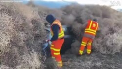 Վաշինգտոնի նահանգային մայրուղու երթևեկությունը դադարեցվել է այն բանից հետո, երբ քամին մոլախոտերով ծածկել է մի քանի ավտոմեքենա