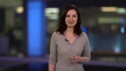 Брифинг 29 января