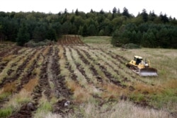 A bulldozer loosens the soil in a field in Monongahela National Forest, W.Va., on Aug. 27, 2019.