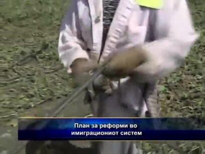 План за реформи во имиграциониот систем