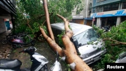 Topan Soulik mengakibatkan beberapa pohon tumbang saat melanda Taipei, Taiwan (13/7). 