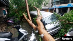 7月13日蘇力台風襲擊台灣時連根拔起的樹木壓壞汽車。