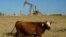 FILE - A cow walks through a field as an oil pumpjack and a flare burning off methane and other hydrocarbons in the background in the Permian Basin in Jal, New Mexico, Oct. 14, 2021. 