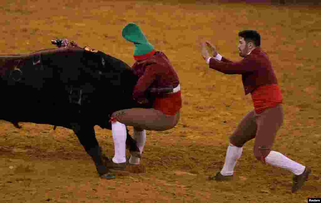 Members of Montemor forcados group perform during a bullfight at the Campo Pequeno bull ring in Lisbon, Portugal.