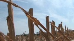 The 2012 Drought - A Dry Season 
