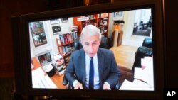 Dr. Anthony Fauci gjatë dëshmisë me video-konferencë në komisionin e Senatit
