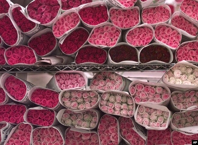 File -- Americans are expected to spend $1.9 billion on flowers for Valentine's Day 2019.