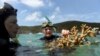 Cyclone Strikes Healthiest Part of Great Barrier Reef