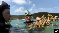 In this Nov. 25, 2016, photo Australian senator Pauline Hanson listens to marine scientist Alison Jones, left, as she displays a piece of coral on the Great Barrier Reef. Australian scientists say warming oceans have caused the biggest die-off of corals ever recorded on Australia's Great Barrier Reef. 