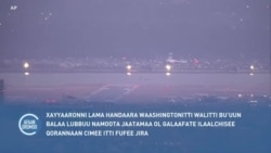 Xayyaaronni Lama Handaara Waashingtonitti Walitti Bu'an Ilaalchisee Qorannaan Cimee Itti Fufee Jira 