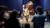 Meet the T. Rex Cousin Who You Could Literally Look Down On