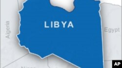 Parlemen Libya telah melantik perdana menteri baru, Minggu (4/5).