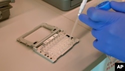 FILE - A scientist at the NY Genome Center in New York demonstrates equipment used in single-cell RNA analysis, Sept. 26, 2018.