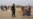 Cameroon Denies It Forcibly Sent Back Nigerian Refugees