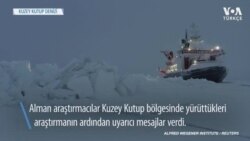 Arktik Buzulları Rekor Hızda Azalıyor