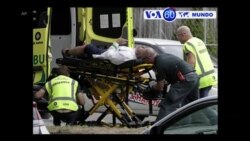 Manchetes Mundo 15 Março 2019: Ataques a mesquitas na Nova Zelândia