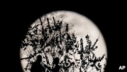 A couple are silhouetted against the rising full moon as they gather in a park, March 28, 2021, in Kansas City, Missouri.