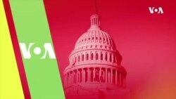 Livetalk: Diaspora Forum - July 22, 2020
