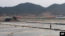 FILE- A salt farm owner walks around his salt farm on Sinui Island, South Korea. Eight men who had been held as slaves at South Korean salt farms for several years have sued the government for alleged negligence and police inaction they say largely caused