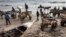 Des conducteurs de charrettes attendent le long de la plage du marché aux poissons de Yoff où ils achèteront du poisson frais à vendre le long des routes à Dakar le 28 avril 2021.
