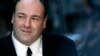 'Bố già' phim 'The Sopranos' James Gandolfini qua đời