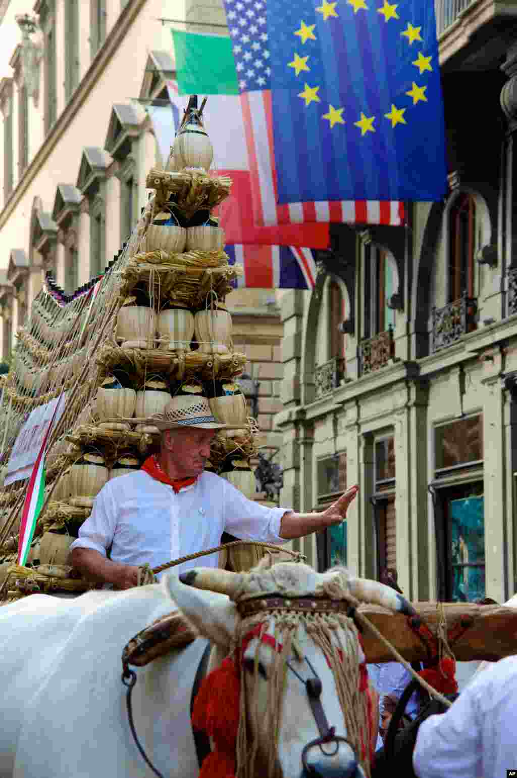 The annual blessing of the local 'Chianti' wine in Florence as it is taken through the streets on a cart pulled by two local white oxen (Photo Mark Abouzeid)