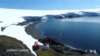 Hardy Antarctic Plants and Their Sunscreen Potential