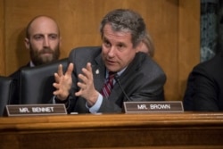 FILE - Sen. Sherrod Brown, D-Ohio, is pictured during a hearing on Capitol Hill in Washington, Jan. 19, 2017,