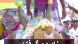 نادیده گرفتن خطر کرونا و سوگواری برای گاو