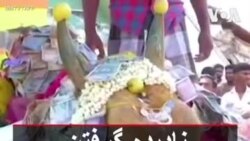 نادیده گرفتن خطر کرونا و سوگواری برای گاو