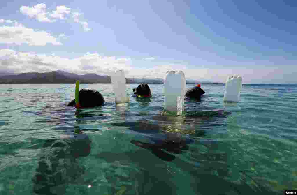 &ldquo;Los corales ya se están blanqueando ya sea por enfermedades del ecosistema, por la acidificación pero también la causa principal es el calentamiento (global)&quot;, explica&nbsp;Jesús Alvarado, director de la Fundación Pilares Marinos que se encarga de las granjas de rescate y mantenimiento de corales nativos.